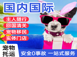 北戴河机场货运国际宠物托运 【国